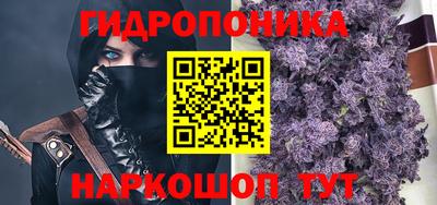 прущие грибы Коммунар