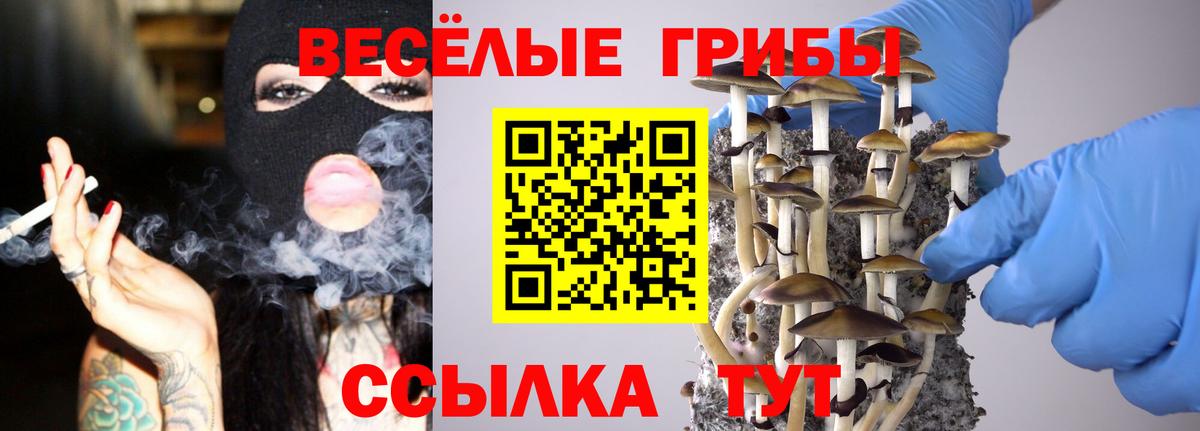 Псилоцибиновые грибы ЛСД  Вход с VPN  дарнет шоп  Кингисепп 