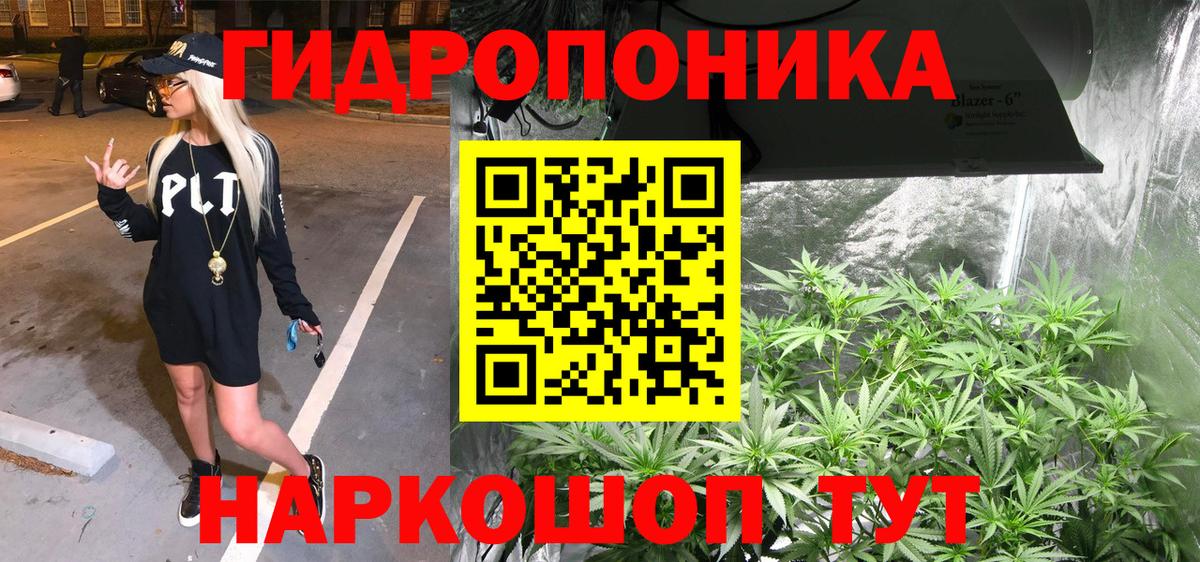 Бошки марихуана THC 21% Кингисепп